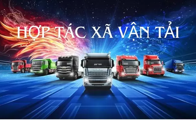hop-tac-xa-van-tai Mora Pay